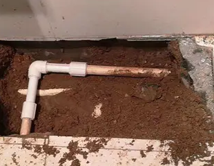 麻江测漏水哪家好