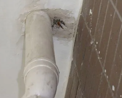 麻江漏水检测哪家好