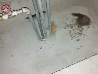 麻江卫生间测漏水价格明细
